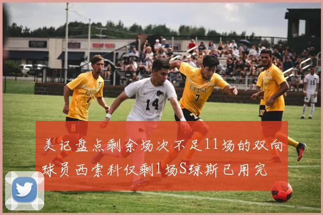 美记盘点剩余场次不足11场的双向球员西索科仅剩1场S琼斯已用完
